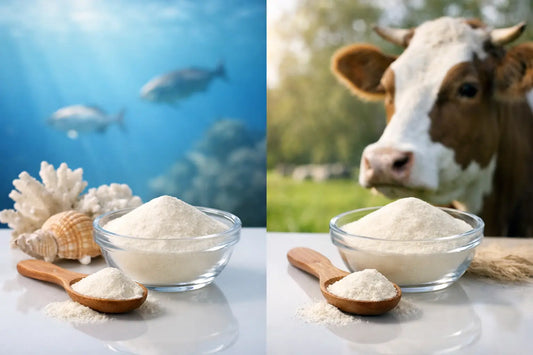 Marines Kollagen vs. bovines Kollagen: Was passt?